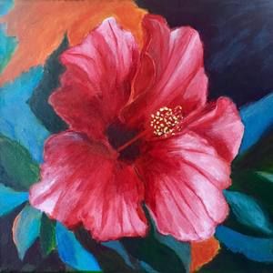 Meet your Posher, Heidi